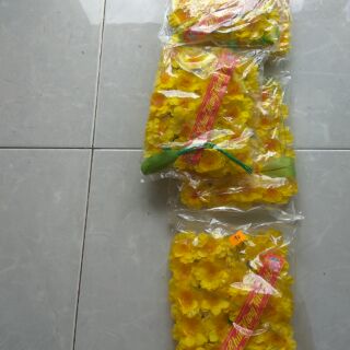 Bông Mai vàng