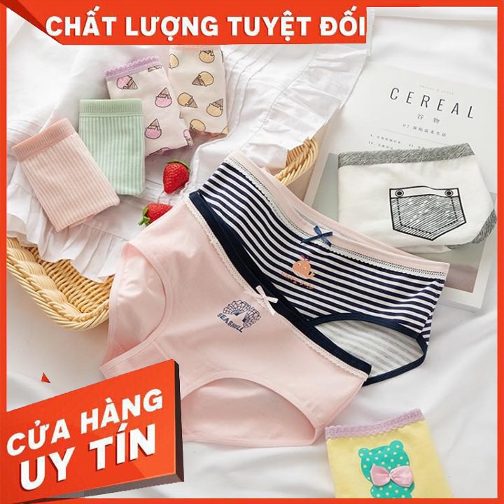 [RẺ HƠN BÁN SỈ ] [ SIZE 49KG >> 58KG] Quần Chip Cotton Loại 1  - Cotton Co Dãn Thoải Mái - Siêu Nhiều Hình Dễ Thương !!!