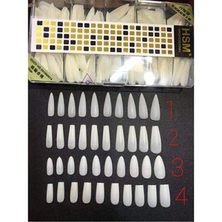 MÓNG GIẢ - MÓNG NHÁM HSM