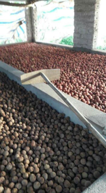 3 kg vải sấy bắc giang | BigBuy360 - bigbuy360.vn