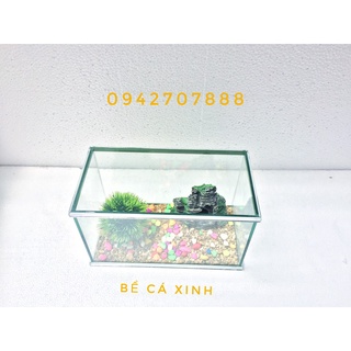 Bể cá mini 25cm- 30cm + đèn led ( tặng phụ kiện)