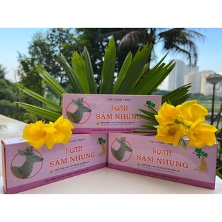 Hoàn sâm nhung - giúp bổ thận, tráng dương, mạnh gân cốt - bệnh viện yhct bộ công an