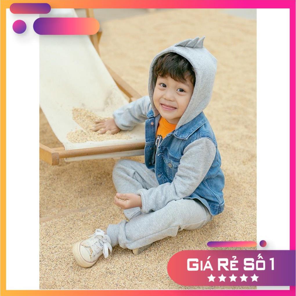 BT202 - ÁO BÒ ZR PHỐI TAY MŨ KHỦNG LONG CHO BÉ TRAI