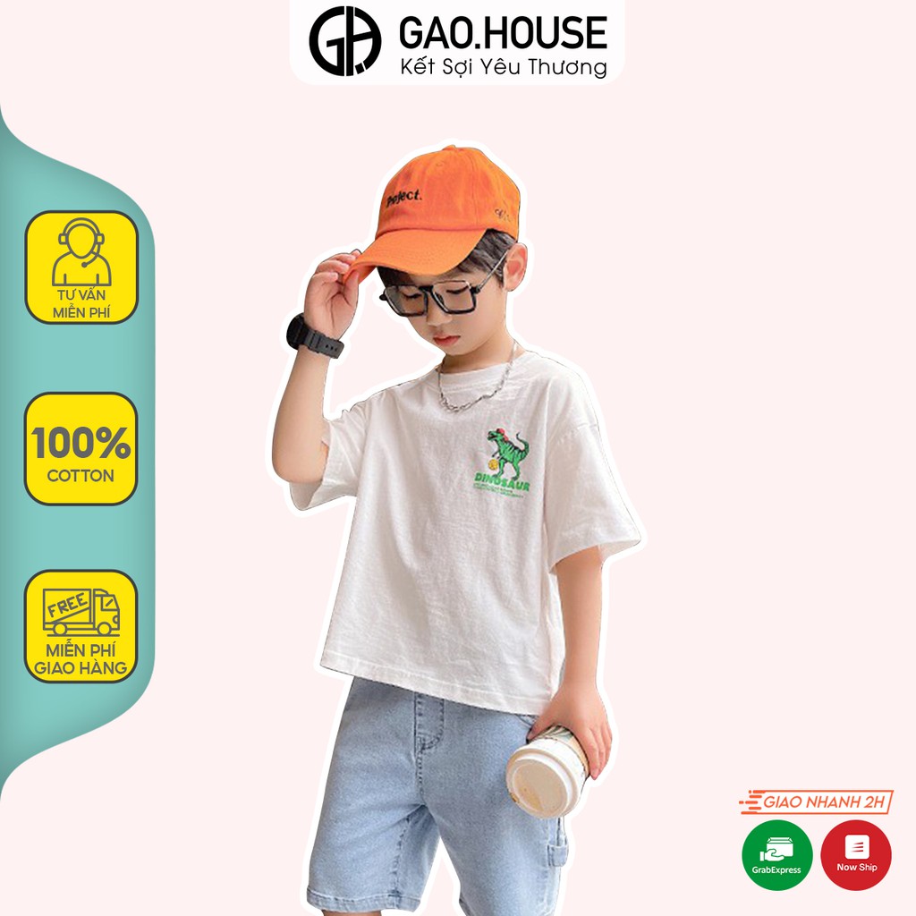 Áo thun bé trai Gạo House cotton 4 chiều cổ tròn cộc tay hình Khủng long T28