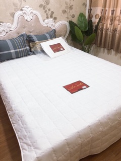 Ruột Chăn Hè Thương Hiệu AMada Lông Vũ