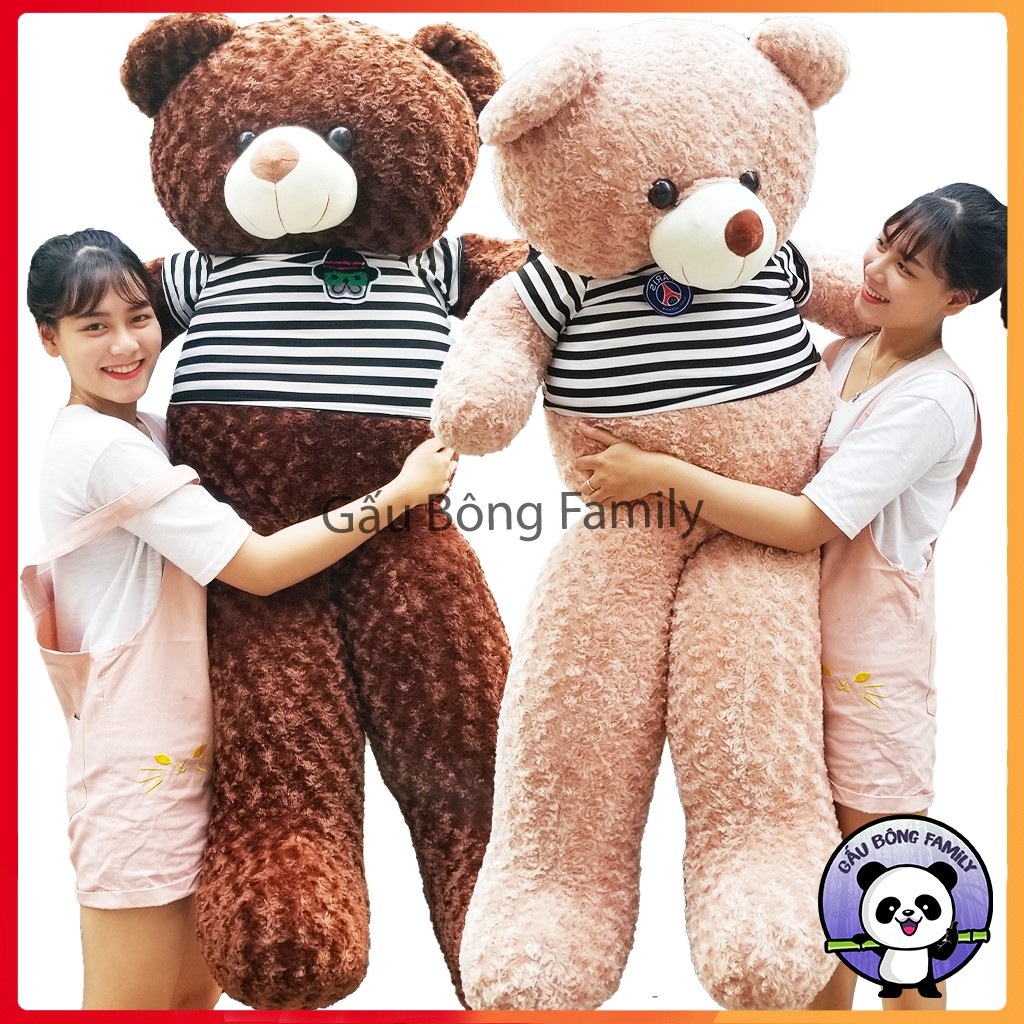 (Ảnh Thật 100%)-Gấu bông Teddy 1m8 khổ vải - cao 1m6 Rẻ Vô