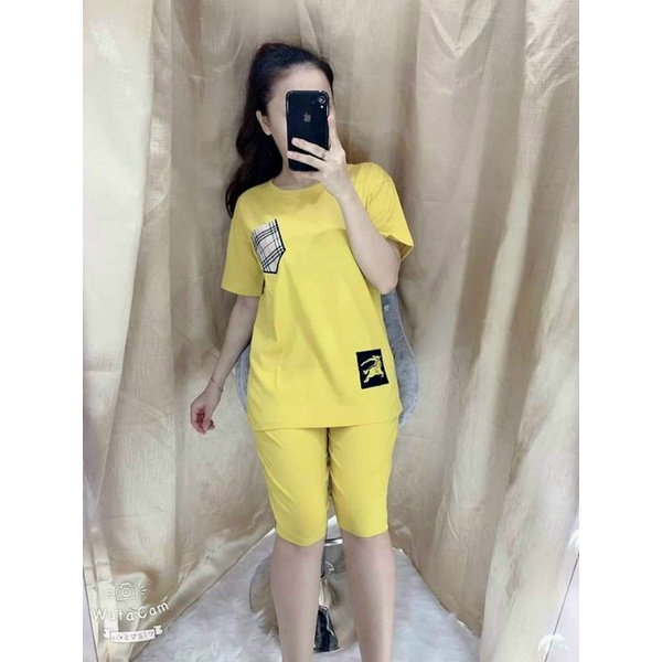 HARA Bộ lững nữ thun cotton, bộ quần lửng nữ mặc nhà, bộ ngố
