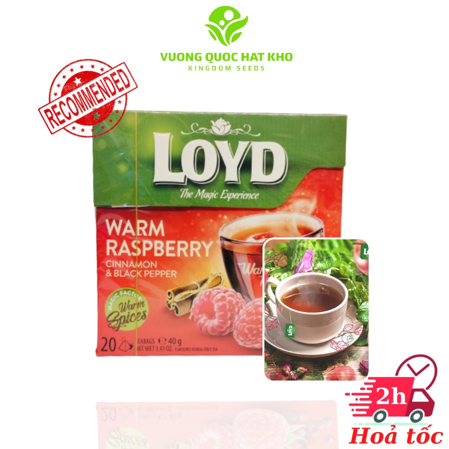 Trà Túi Lọc Loyd Vị Warm Raspberry 40g