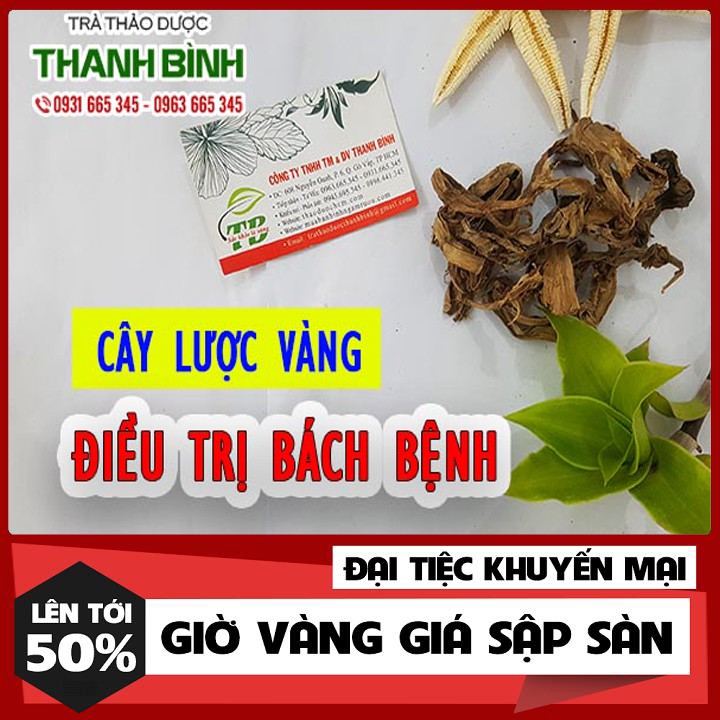 Cây Lược Vàng 100g (Tươi Và Khô) - Thu Hái Chất Lượng
