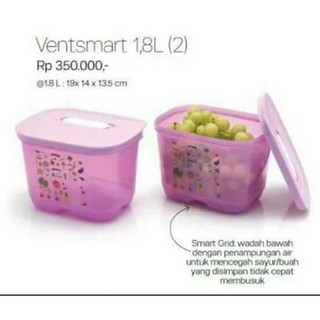 Hộp Đựng Rau Củ Quả Vensmart