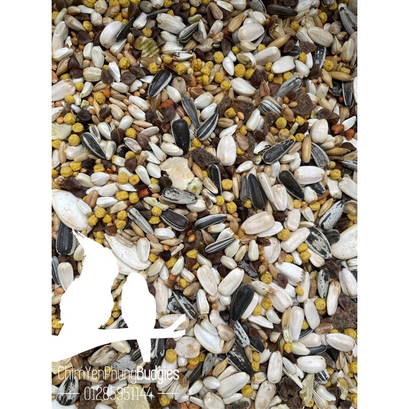 BIG PARAKEETS (gói 2KG nguyên seal) Thức ăn hỗn hợp cho vẹt Lovebird • SunConure • Cockatiel - xuất xứ: Ý 🇮🇹🇮🇹🇮🇹
