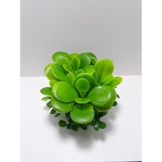 Cây cỏ nhựa Size Nhỏ dùng để trang trí hồ cá, tiểu cảnh, bàn làm việc, bàn học .