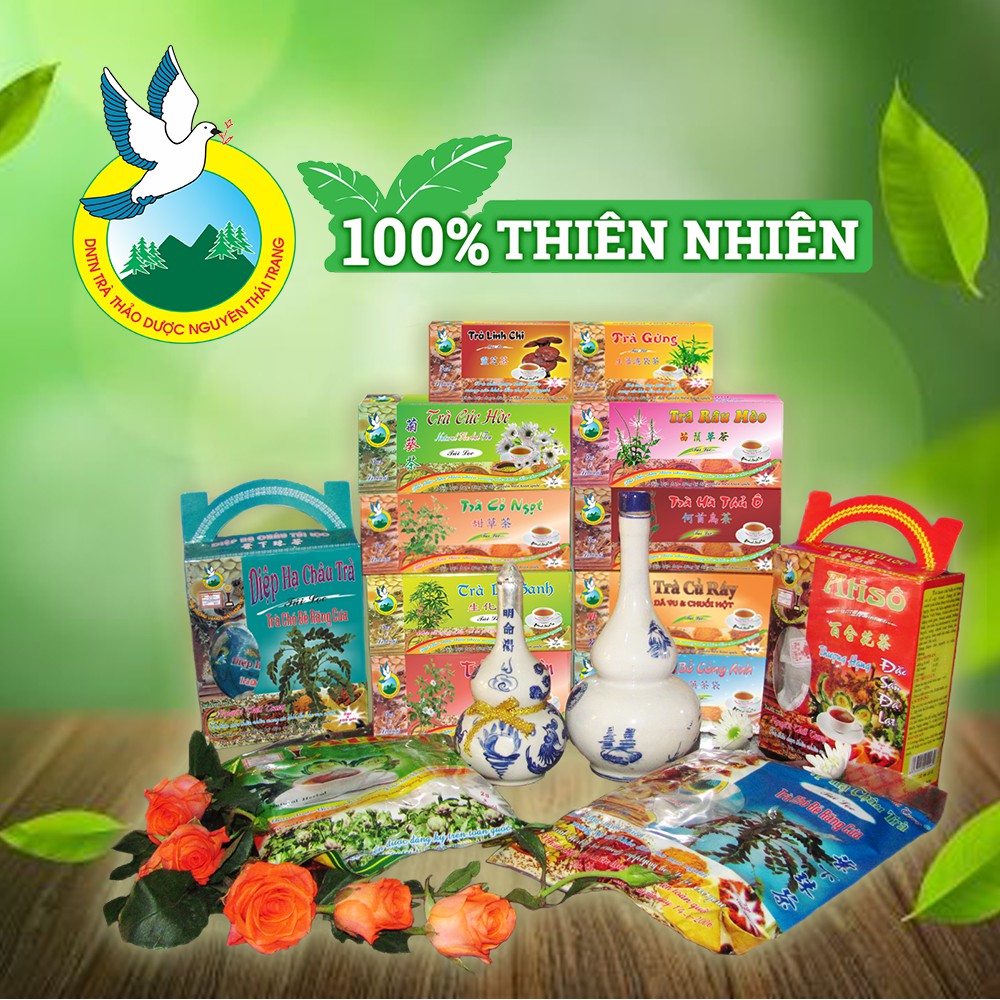 Trà Ngư Tinh Thảo (Rau Diếp Cá) - Hỗ Trợ bệnh Trĩ (Hộp 50 Túi Lọc X 2g)- Nguyên Thái Trang – Thảo Dược Thiên Nhiên