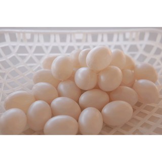 [DN123] Trứng chim bồ câu giả