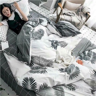 Set poly ga 2 vỏ gối
