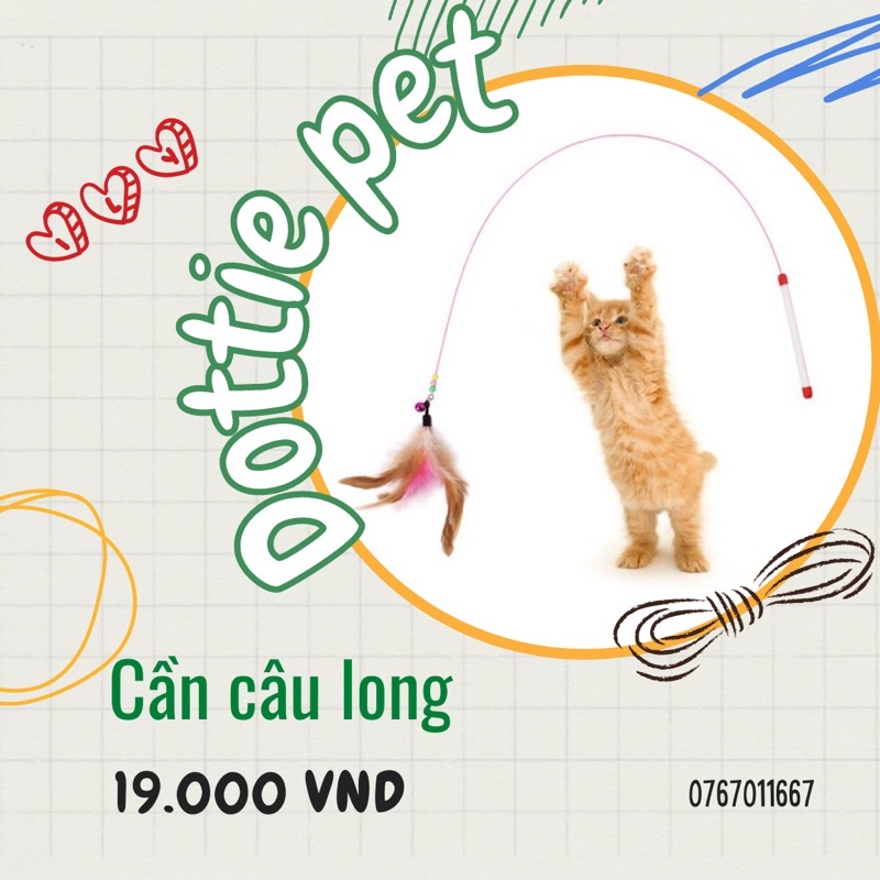 Cần câu lông trêu mèo