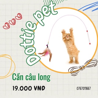 Cần câu lông trêu mèo