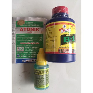 COMBO KÍCH RỄ  B1 THÁI 100 ML + ATONIK + HÙNG NGUYỄN
