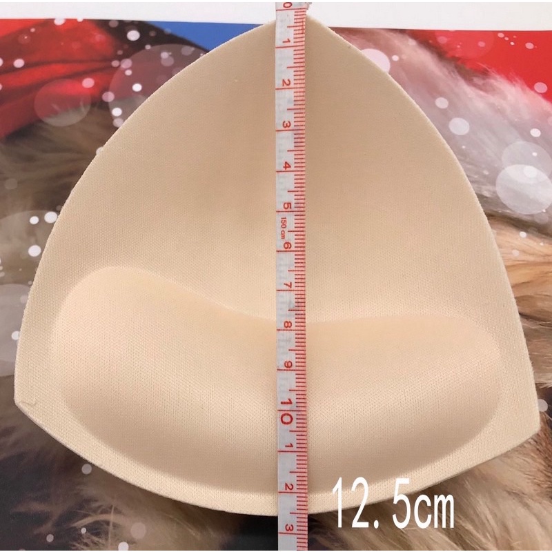 2 MIẾNG ĐỆM MÚT TAM GIÁC