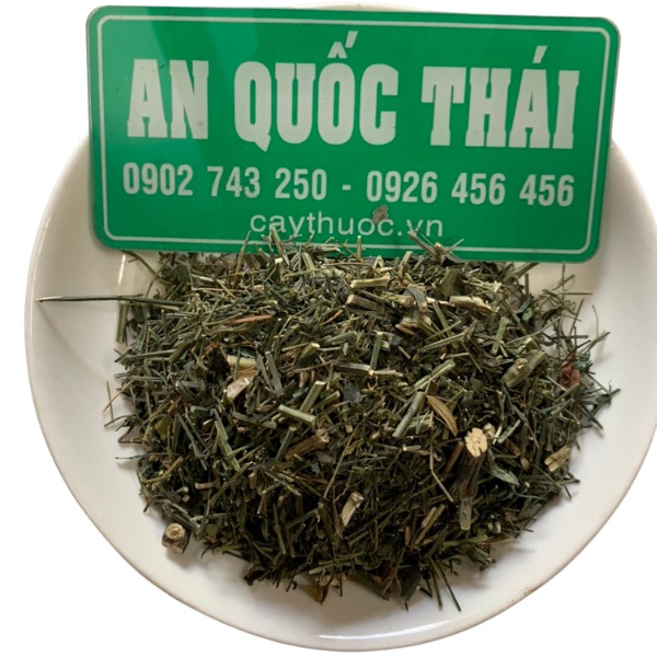 1kg Xuyên Tâm Liên Khô Hạ Sốt, Hỗ Trợ Người Bệnh Phổi, Cây Xuyên Tâm Liên Trừ Ho, Đau Rát Họng