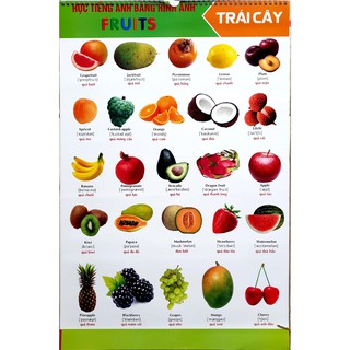 Bộ tranh treo học tập thông minh 10 chủ đề cho bé - Xact Studio - Mẫu 2