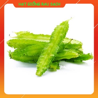 Hạt giống đậu rồng gói 10 gr