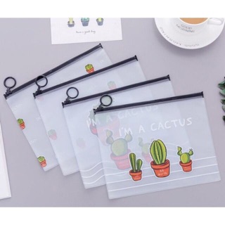 Túi bút xương rồng