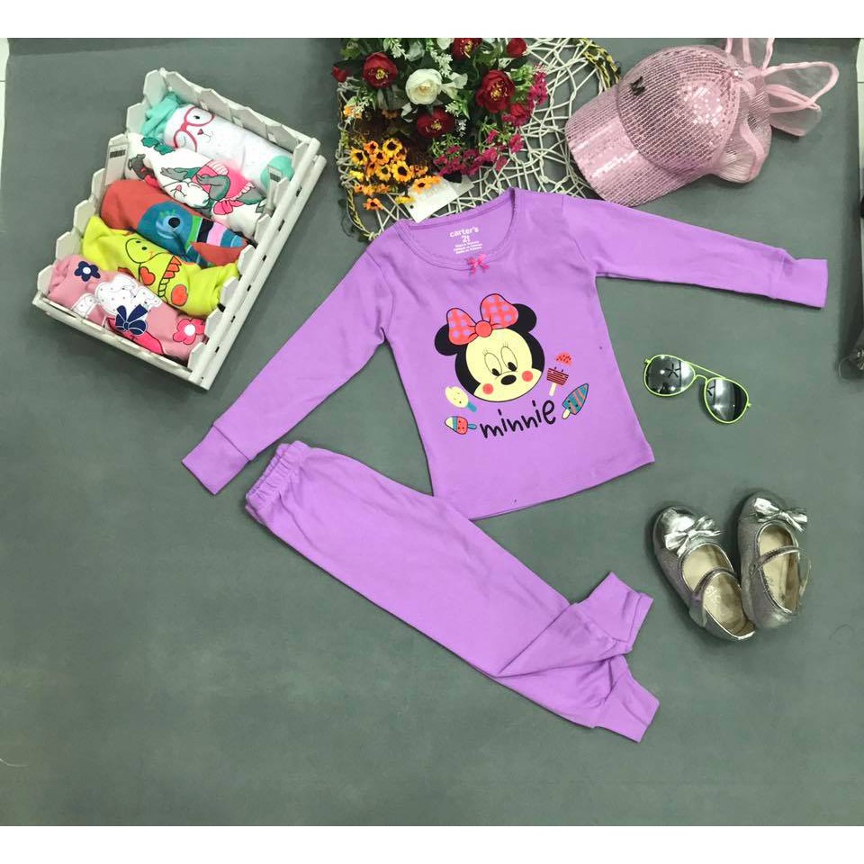 Bộ dài tay cho bé gái thun borip hàng Carter