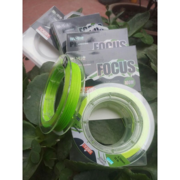 Dù pe NOEBY FOCUS 100m