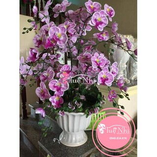 CÀNH LAN HỒ ĐIỆP 3D CAO CẤP - Hoa Gỉa,Hoa Lụa.