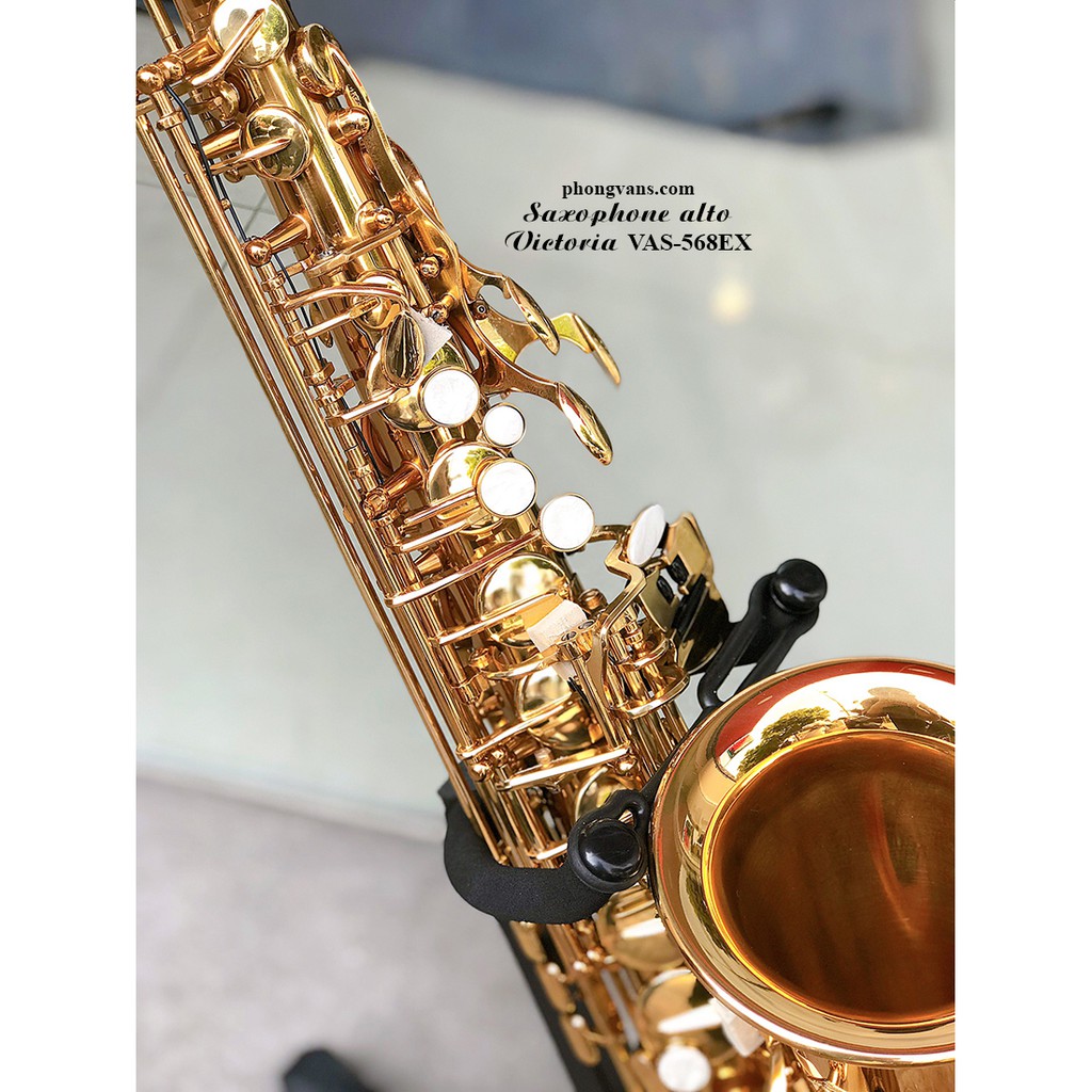 Kèn saxophone alto Victoria VAS-568EX màu vàng