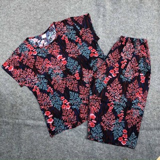 Combo 2 bộ lanh ngố
