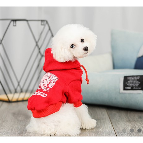 Cheepet Áo Len Hoodie cho chó mèo