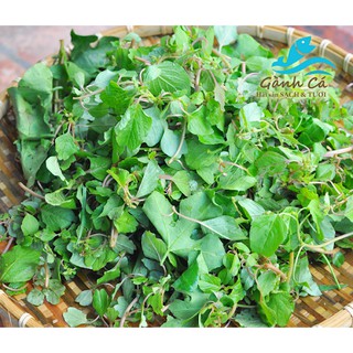 5Gr - hạt giống rau dền cơm