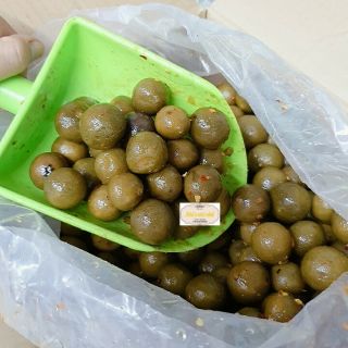 QUẢ SẤU GIÒN CAY - 500gr