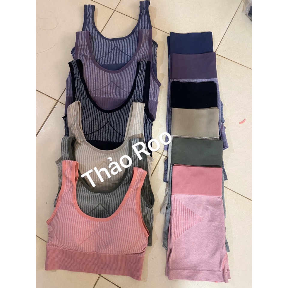 (Mã L03) Bộ đùi tập gym, yoga thun gân chất đẹp tặng mút lót kèm áo