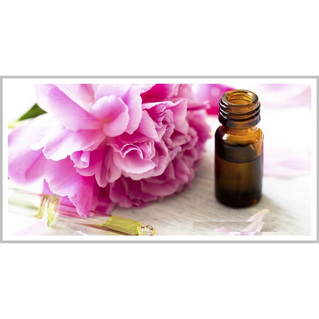 Tinh dầu Hoa Hồng nguyên chất lọ 100ml