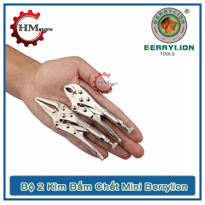 Bộ 2 kềm bấm chết mini 125mm Berrylion chính hãng