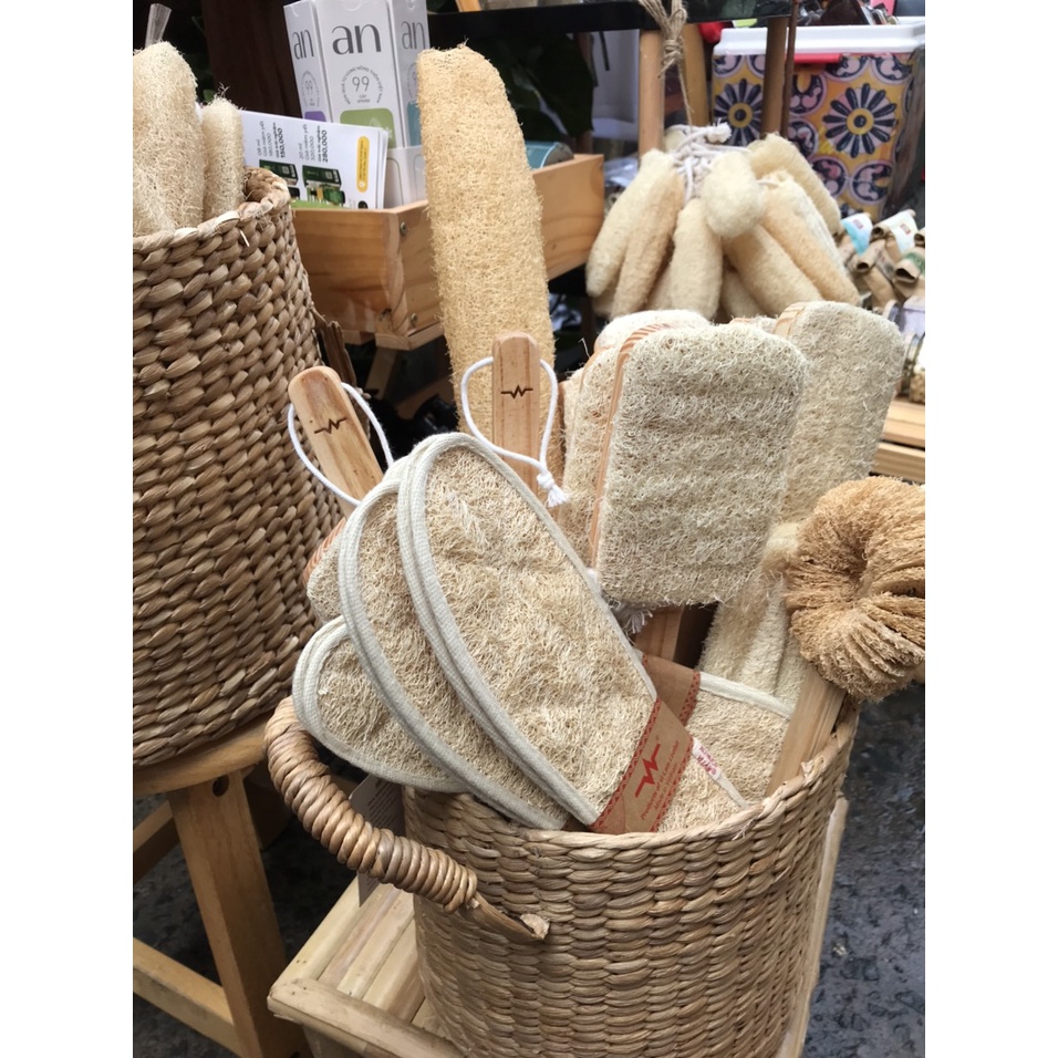 CÂY CHÀ LƯNG XƠ MƯỚP / BÔNG TẮM XƠ MƯỚP- LOOFAH