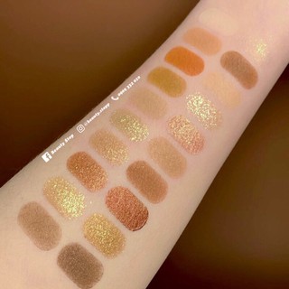 Bảng Mắt 20 Ô Xiyuan Chestnut