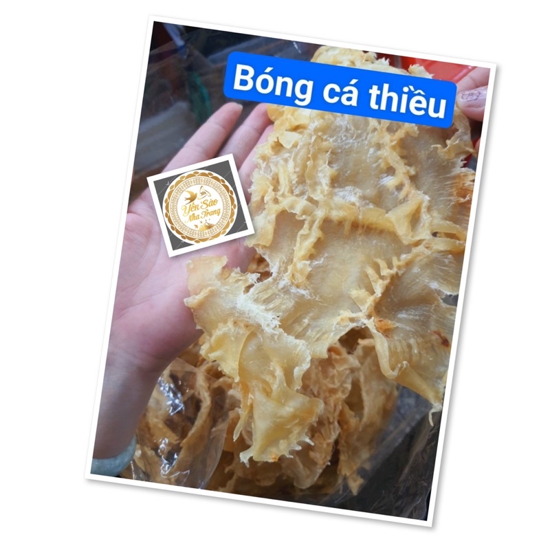 Bong bóng cá thiều
