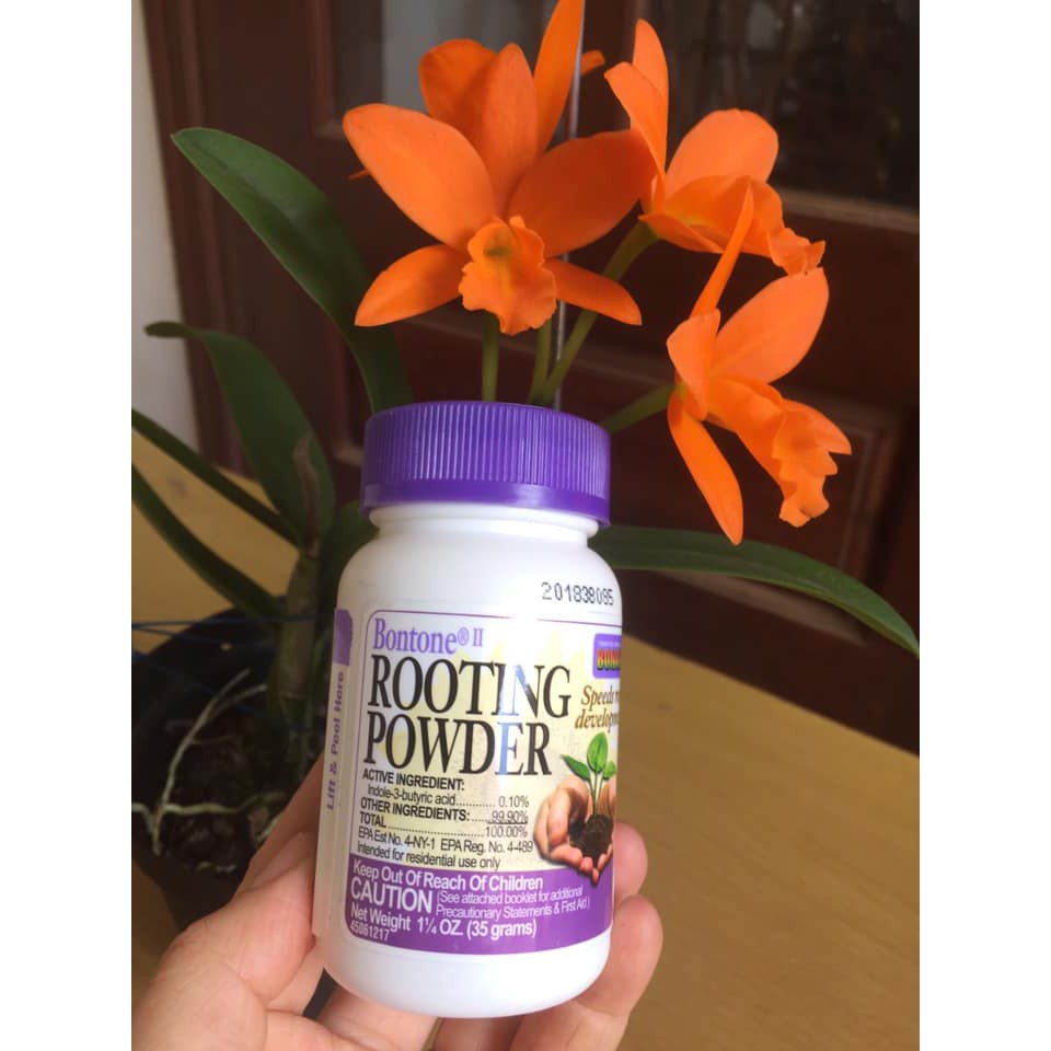 SIÊU KÍCH RỄ ROOTING POWDER
