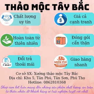 Cốt Nghệ Gấc Hạ Thổ Cho Mặt Handmade