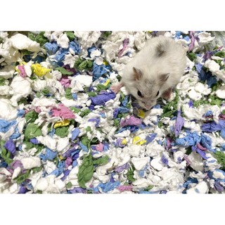 Giấy lót Carefresh dành cho hamster - Chính hãng Châu Âu