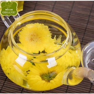 Trà hoa cúc vàng thơm đẹp pha trà Mộc Lam (Hộp 100g - 150g)