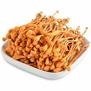 NỤ BÔNG ĐÔNG TRÙNG HẠ THẢO