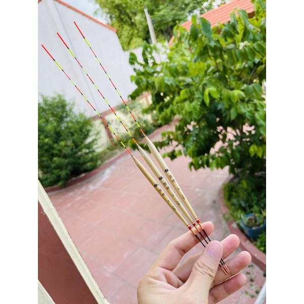 Phao Câu Rô Phi Tăm To