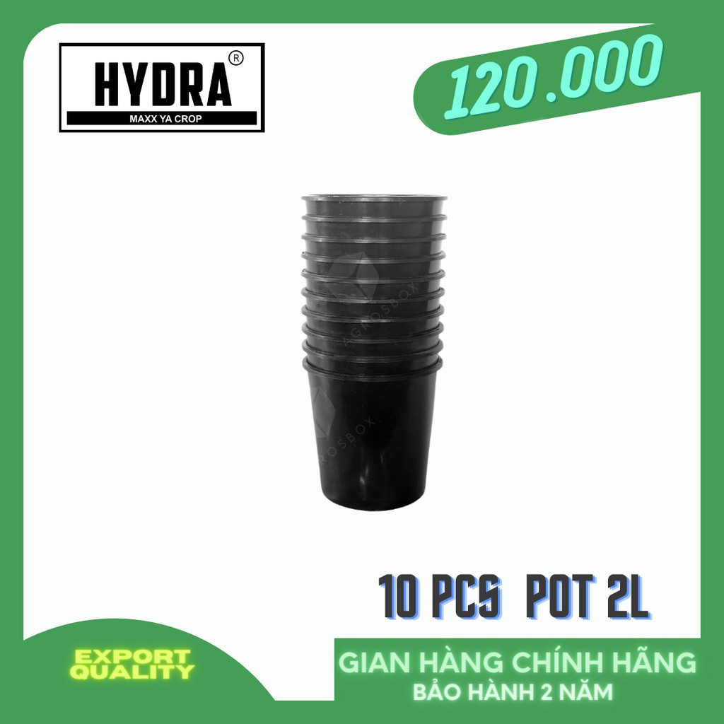 Bộ 10 Chậu Nhựa Trồng Cây Cao Cấp HYDRA 2L