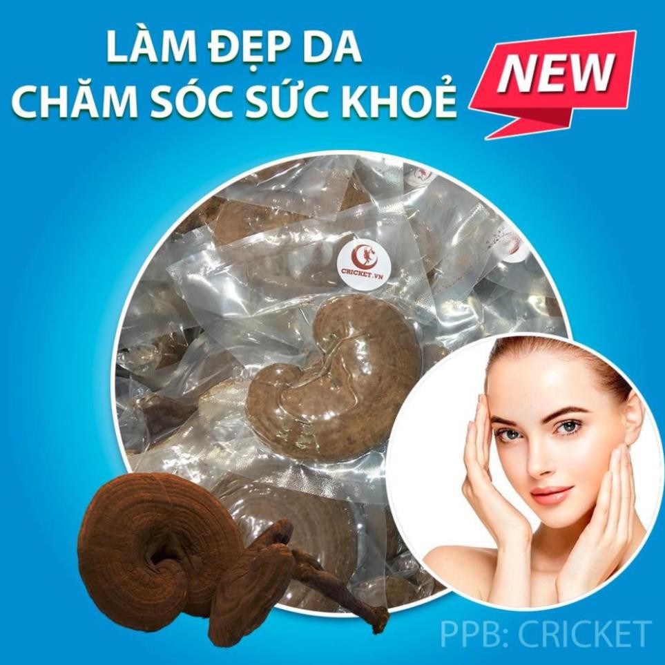 NẤM LINH CHI CÒN NGUYÊN BÀO TỬ - KHUYẾN MÃI MUA 4 TẶNG 1 [Helifood]