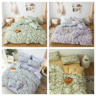 Bộ Chăn Ga Gối Cotton Basic
